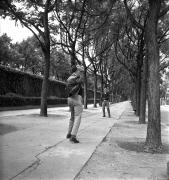 Boulevard Edgar Quinet, le long du cimetière Montparnasse, Paris, sans date