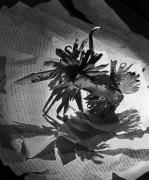 Nature morte: "Couteau surréaliste", Paris 1947 Projet d’illustration du livre de Marcel Jean et Arpad Mezei : "Les Chants de Maldoror", essai sur Lautréamont et son œuvre, Editions Nizet, Paris, 1947.
