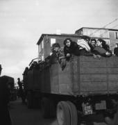 Réfugiés espagnols, Le Perthus près de Perpignan, 1939 après la chute de Barcelone