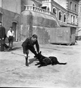 Un des chiens de Monsieur Garnier avec son dresseur, fit une une crise de paralysie foudroyante en cours de tournage de "La Fleur de l'âge" de M. Carné et J. Prévert, Belle-Ile, 1947